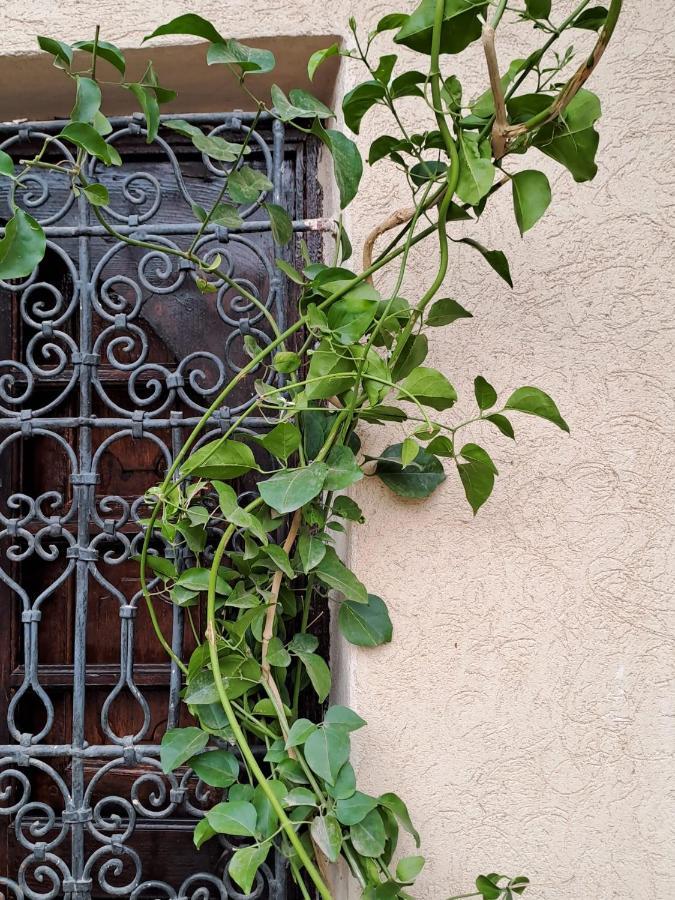 Riad Rime Garden Marrakech Lagouassem Exteriör bild